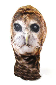 Eagle Mask