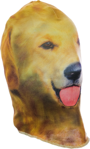 Lab Mask