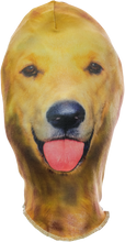 Load image into Gallery viewer, Lab Mask