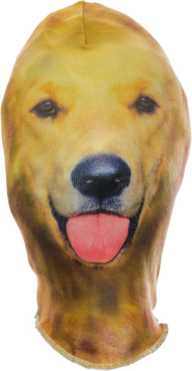 Lab Mask