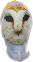 Load image into Gallery viewer, Owl Mask