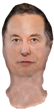 ELON Full Face Mask